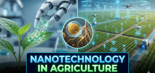 Nanotechnology in Agriculture: Uses, Benefits, and Risks